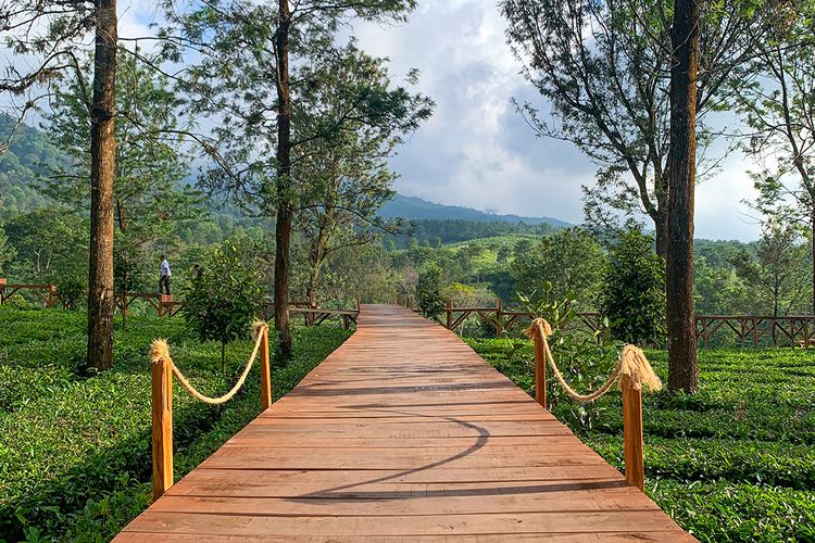 serunya berlibur di puncak gunung mas