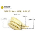 Apa Manfaat Umbi Garut