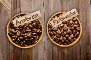 Perbedaan Kopi Arabika dan Kopi Robusta