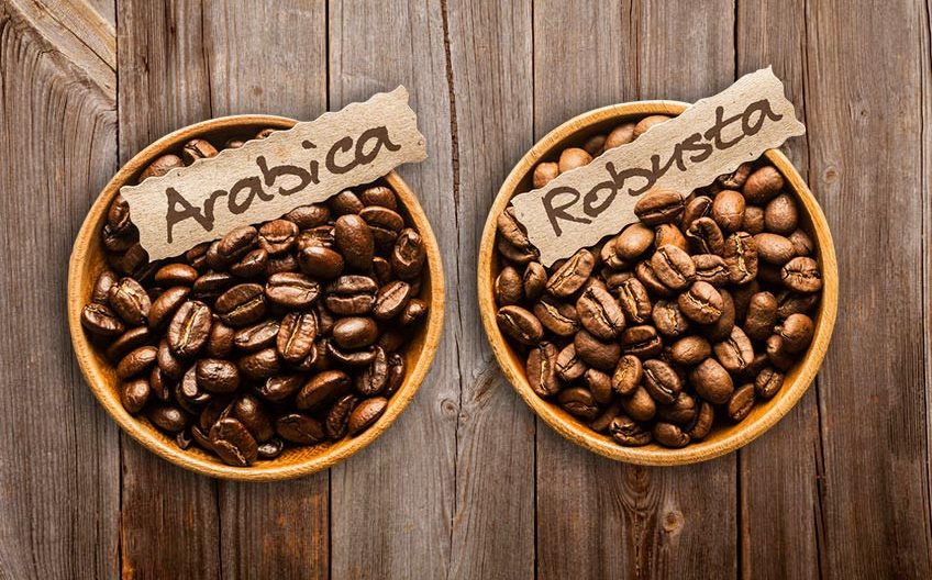 Perbedaan Kopi Arabika dan Kopi Robusta