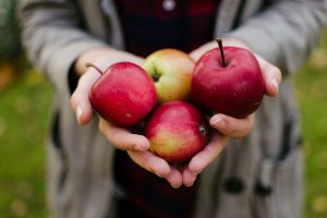 Nutrisi yang Terkandung dalam Buah Apel