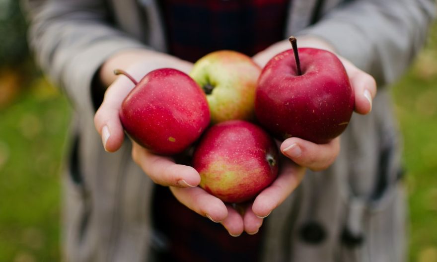 Nutrisi yang Terkandung dalam Buah Apel