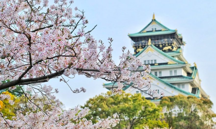 Tips Liburan ke Jepang yang Seru dan Tetap Ramah di Kantong